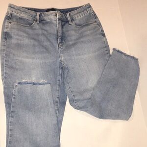 Talbots Jegging Blue Denim Jeans | Size 8P